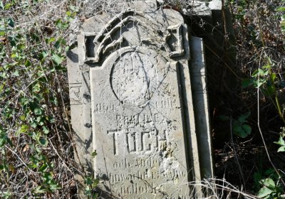 Hradiště, Omnium, 2020