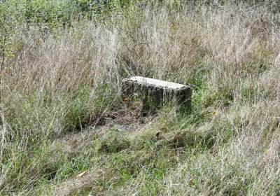 Hradiště, Omnium, 2020