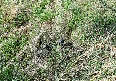 Hradiště, Omnium, 2020