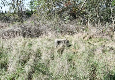 Hradiště, Omnium, 2020