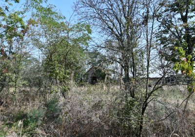 Hradiště, Omnium, 2020