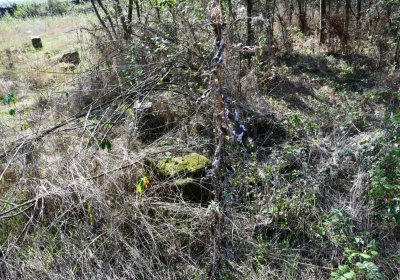 Hradiště, Omnium, 2020