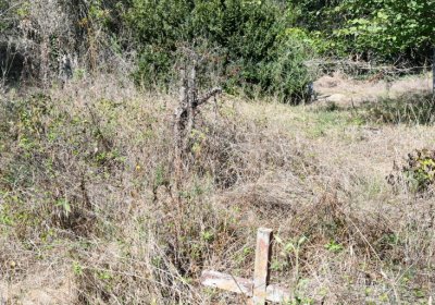 Hradiště, Omnium, 2020