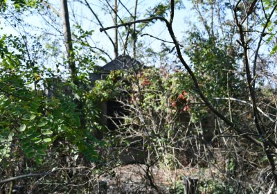 Hradiště, Omnium, 2020