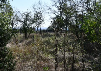 Hradiště, Omnium, 2020