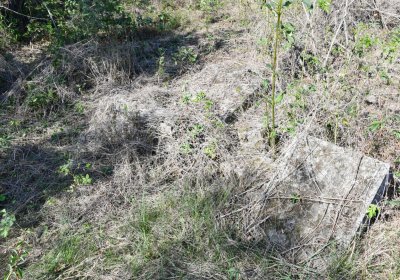 Hradiště, Omnium, 2020