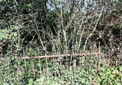 Hradiště, Omnium, 2020