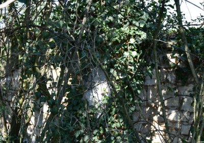 Hradiště, Omnium, 2020