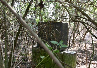 Hradiště, Omnium, 2020