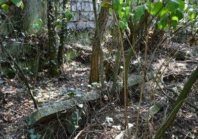 Hradiště, Omnium, 2020