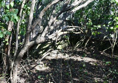 Hradiště, Omnium, 2020