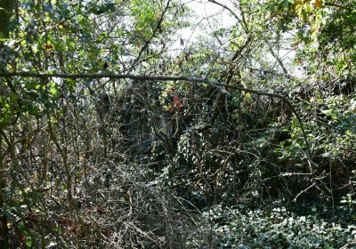 Hradiště, Omnium, 2020