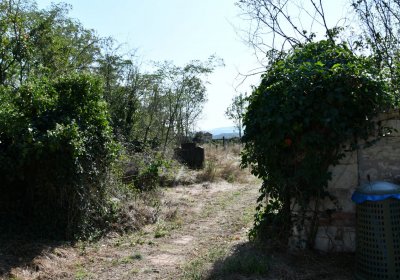 Hradiště, Omnium, 2020