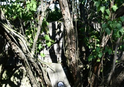 Hradiště, Omnium, 2020