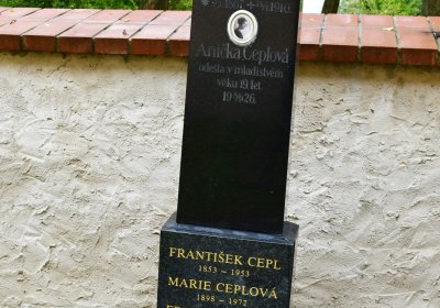 Orasice, Omnium, 2020