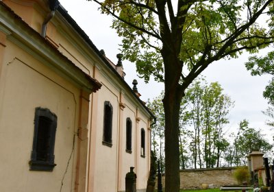 Orasice, Omnium, 2020