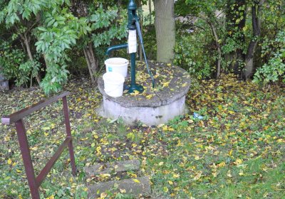 Orasice, Omnium, 2020