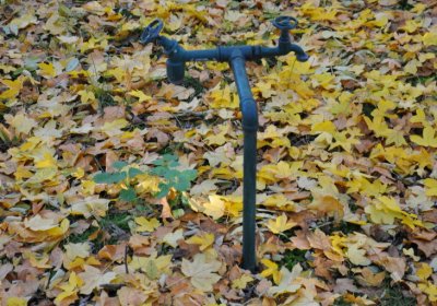 Soběsuky, Omnium, 2020