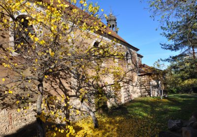 Soběsuky, Omnium, 2020