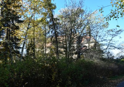 Soběsuky, Omnium, 2020