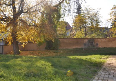 Holedeček, Omnium, 2020