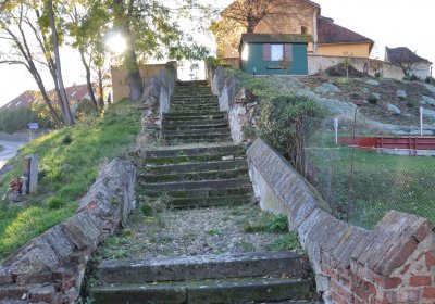 Holedeček, Omnium, 2020