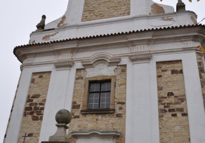 Pnětluky, Omnium, 2020