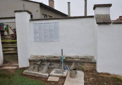 Pnětluky, Omnium, 2020