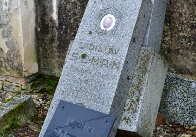 Pnětluky, Omnium, 2020