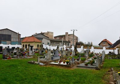 Pnětluky, Omnium, 2020