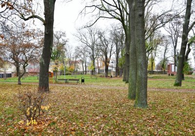 Jirkov Svojsíkovy sady, Omnium, 2020