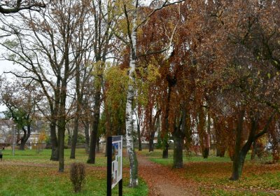 Jirkov Svojsíkovy sady, Omnium, 2020