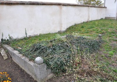 Býčkovice, Omnium, 2020