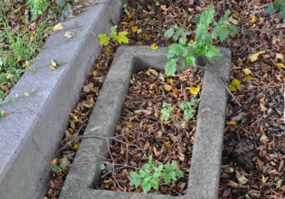 Býčkovice, Omnium, 2020