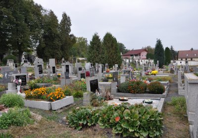 Býčkovice, Omnium, 2020