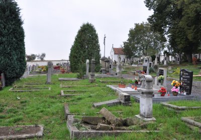 Býčkovice, Omnium, 2020