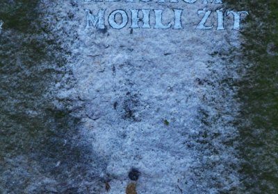 Hořenec, Omnium, 2020