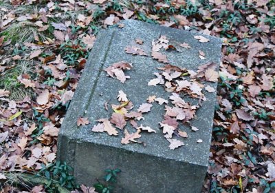 Hořenec, Omnium, 2020