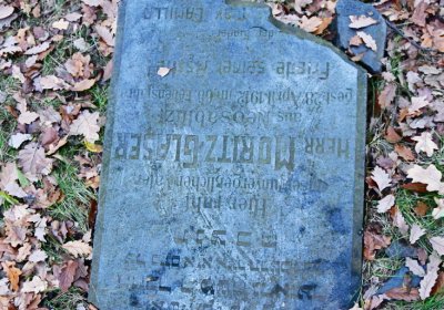 Hořenec, Omnium, 2020