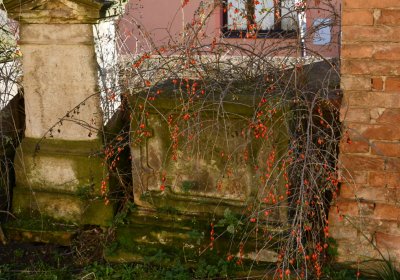 Radíčeves u kostela, Omnium, 2020