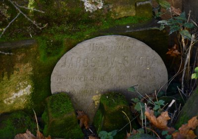 Radíčeves u kostela, Omnium, 2020