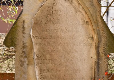 Radíčeves u kostela, Omnium, 2020