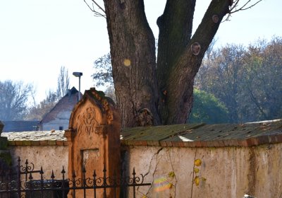 Břežany, Omnium, 2020