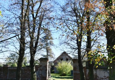 Žabokliky, Omnium, 2020