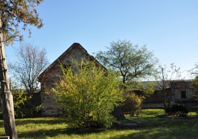 Žabokliky, Omnium, 2020