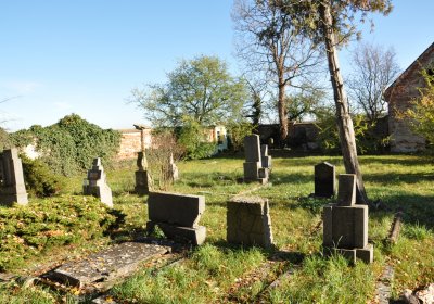 Žabokliky, Omnium, 2020