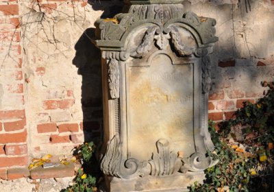 Žabokliky, Omnium, 2020