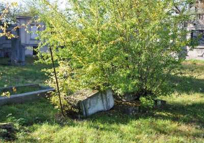 Žabokliky, Omnium, 2020