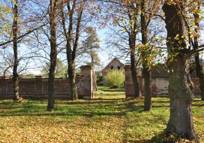Žabokliky, Omnium, 2020
