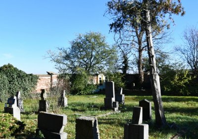 Žabokliky, Omnium, 2020